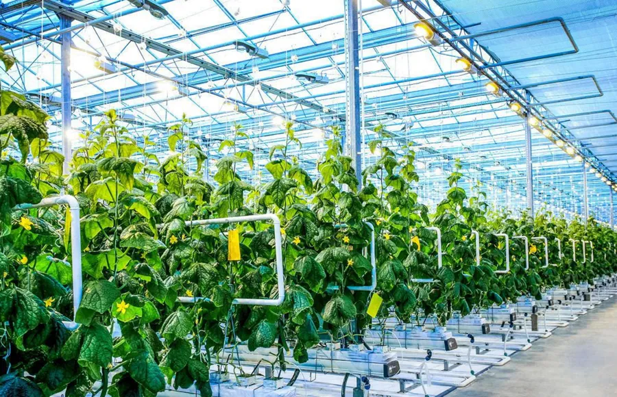 Coordinación de caudalímetros con gabinetes de control cuantitativo y registradores de datos en riego agrícola
